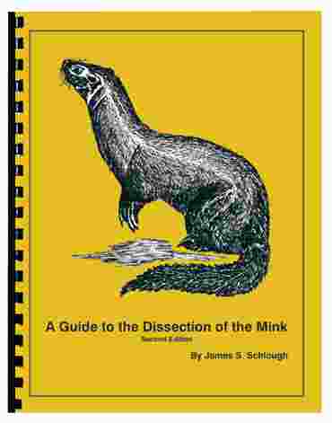 The Mink Dissection Guide for Biology and Life Science