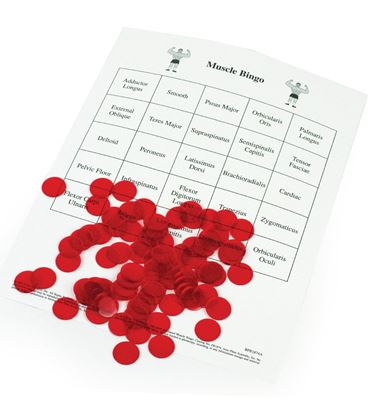 Muscular System Bingo Game for Anatomy and Physiology