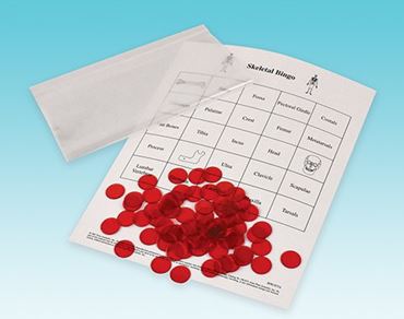 Skeletal System Bingo Game for Anatomy and Physiology