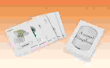 Animal Kingdom Card Games and Activity Kit for Biology and Life Science