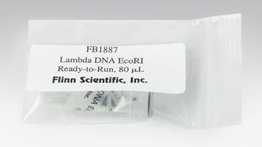 Ready to Run DNA Lambda EcoRI Digest