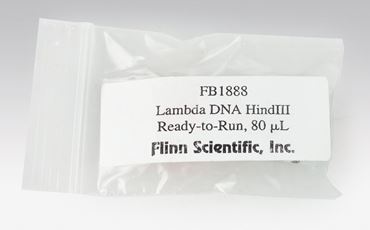 Ready to Run DNA Lambda EcoRI Digest