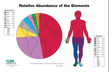 Relative Abundance of the Elements Poster