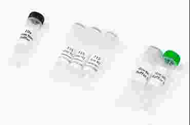 Eco RI Dryzyme® Restriction Enzyme