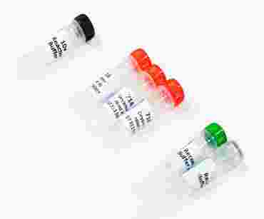 Eco RI Dryzyme® Restriction Enzyme