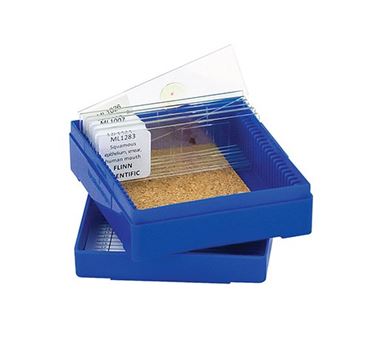 Plant and Animal Cells Mystery Laboratory Kit for Biology and Life Science