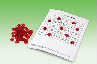 Cardiovascular System Bingo Game for Anatomy and Physiology