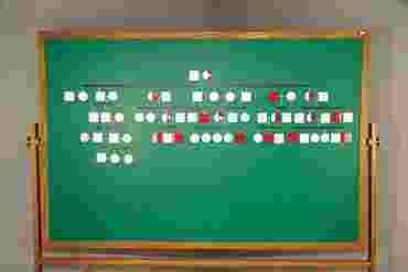 genetic probability, genetics, heredity, inheritance