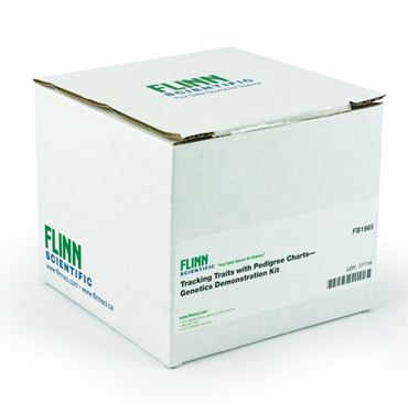 magnetic chart, magnetic squares, magnetic circles, magnetic strips