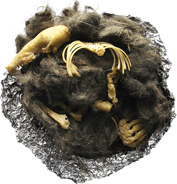 Perfect Pellets - Synthetic Owl Pellets for Biology and Life Science