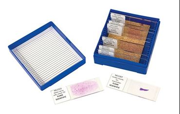 Investigating Tissue and Forensic Microscopy Laboratory Kit for Biology and Life Science