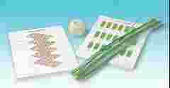 Constructing Model Viruses Activity Kit for Biology and Life Science