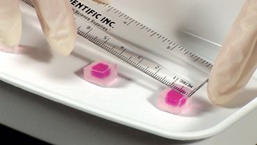 Diffusion Osmosis Advanced Inquiry Lab Kit for AP* Biology