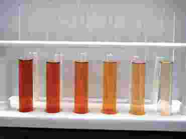 Peroxidase Enzyme Activity Advanced Inquiry Laboratory Kit for AP* Biology