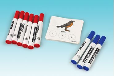 West Nile Virus Transmission Game for Biology and Life Science