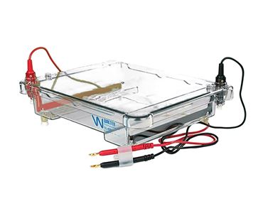Flinn Six-Gel Electrophoresis Apparatus