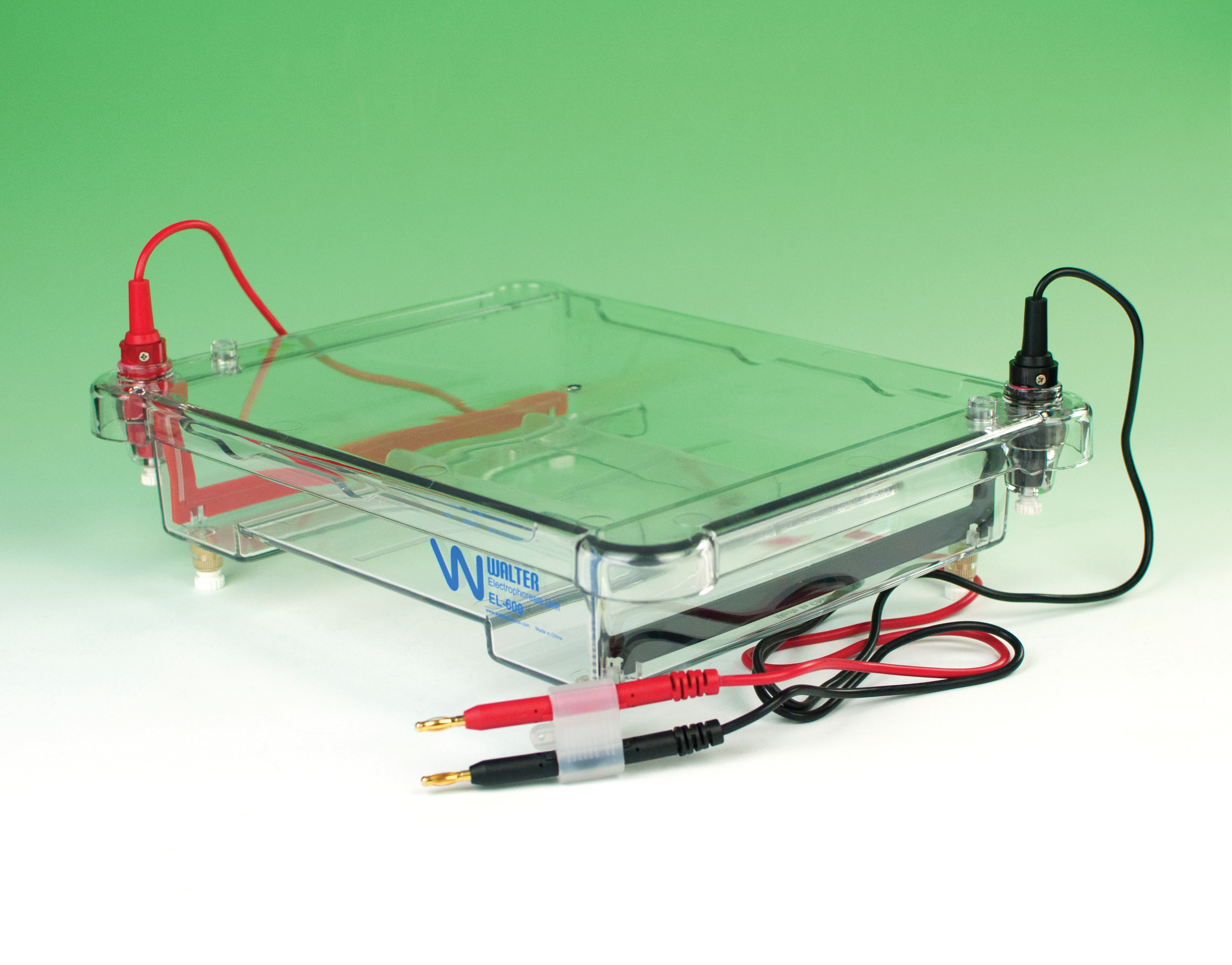 Flinn SixGel Electrophoresis Apparatus Flinn Scientific