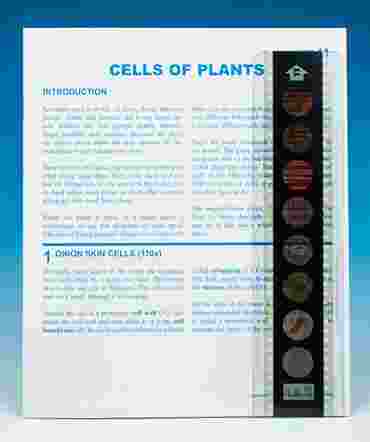 Drosophila Microslide