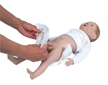 simulation, simulator, trainer, training