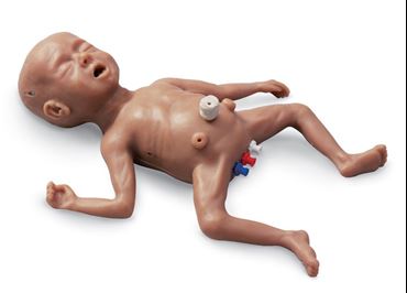 3B Scientific® Life/form® Micro-Preemie Simulator for Nursing and CTE