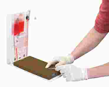 3B Scientific® Dermalike II™ Advanced Four-Vein Venipuncture Training Aid