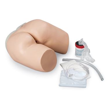 3B Scientific® Enema Administration Simulator for Nursing and CTE