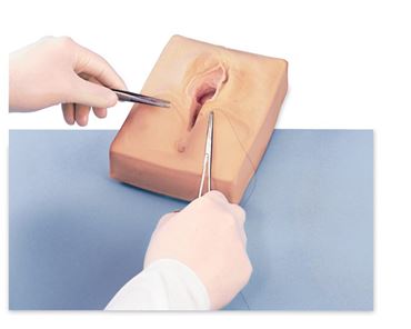 3B Scientific® Life/form® Midline Episiotomy Suturing Simulator for Nursing and CTE