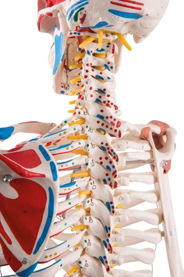 rod mount, stand, hanging mount