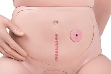 training, trainer, simulator