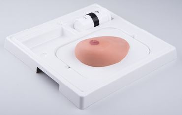 3B Scientific® SONOtrain™ Breast Model with Cysts for Nursing and CTE
