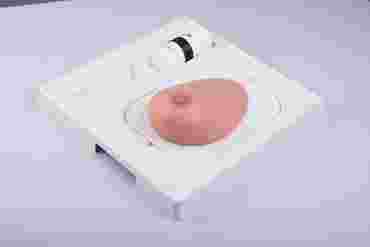 3B Scientific® SONOtrain™ Breast Model with Tumors for Nursing and CTE
