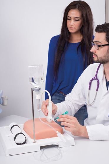 blood vessels, veins, adjustable fluid flow