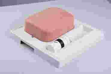 3B Scientific® SONOtrain™ Gallbladder Model for Nursing and CTE