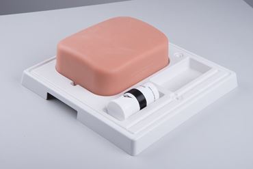 3B Scientific® SONOtrain™ Gallbladder Model for Nursing and CTE