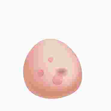 breast, breast model, realistic breast model