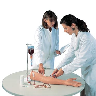 IV, I.V., intravenous