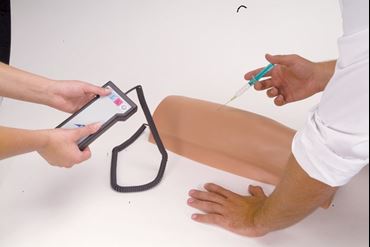 upper arm, arm, arm model, leg, leg model