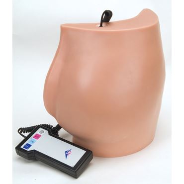 3B Scientific® Buttock Injection Simulator for Nursing and CTE