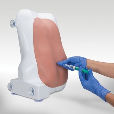 3B Scientific® Epidural and Spinal Injection Simulator for Nursing and CTE