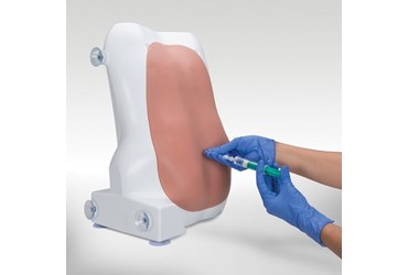 3B Scientific® Epidural and Spinal Injection Simulator for Nursing and CTE