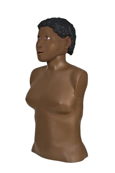 3B Scientific® CPR Lilly™ Light for Nursing and CTE