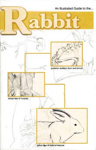 Rabbit Dissection Guide