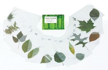 Leaf Identification Activity Kit for Biology and Life Science