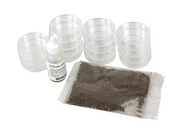 Duckweed Population Study Laboratory Kit for Biology and Life Science