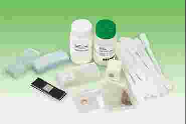 Exploring the Compound Microscope Laboratory Kit for Biology and Life Science