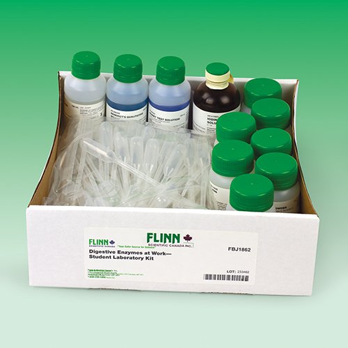 Digestive Enzymes at Work—Student Laboratory Kit Flinn Scientific