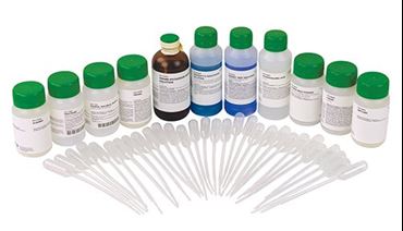 Digestive Enzymes at Work Laboratory Kit for Biology and Life Science