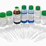 Digestive Enzymes at Work Laboratory Kit for Biology and Life Science