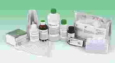 Environmental Effects on Mitosis Advanced Inquiry Laboratory Kit for AP* Biology