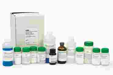 Digestive Enzymes at Work Laboratory Kit for Biology and Life Science